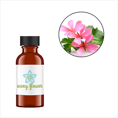 Geranium Essential Oil