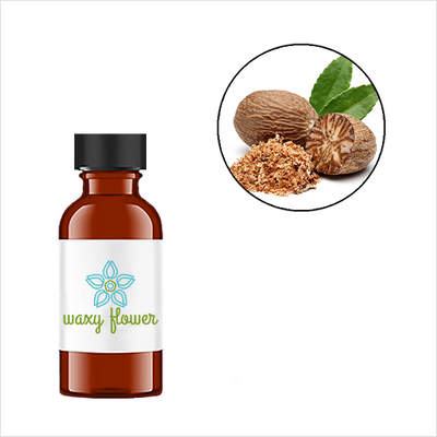 Nutmeg Essential Oil