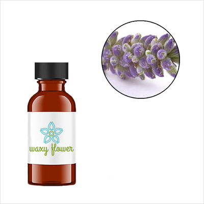 Lavender Essential Oil