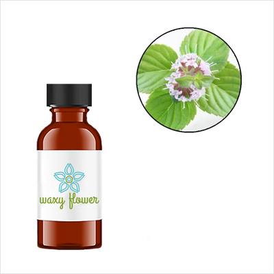 Peppermint Essential Oil