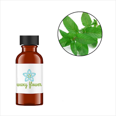 Spearmint Essential Oil