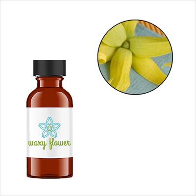 Ylang Ylang Essential Oil